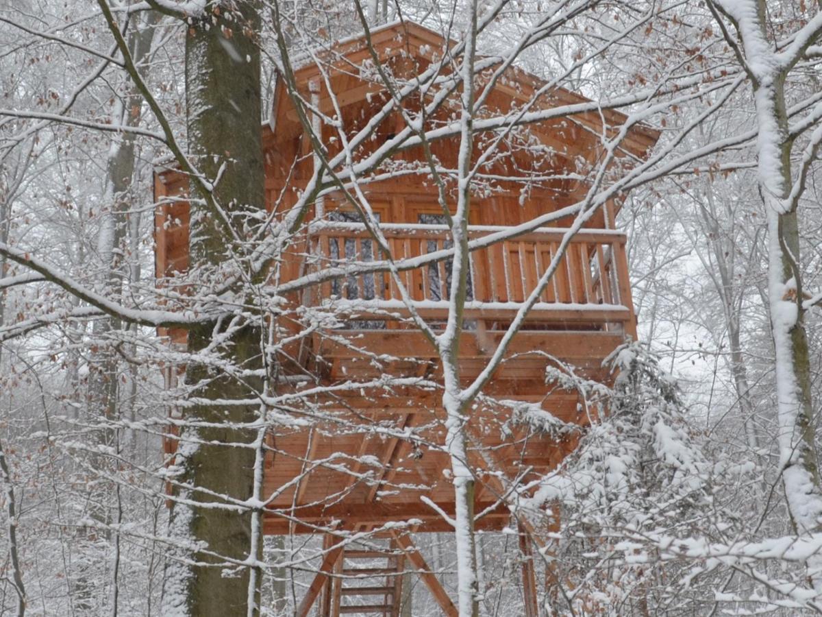Baumhaushotel Solling Uslar Exterior foto