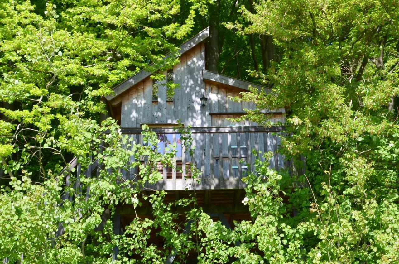 Baumhaushotel Solling Uslar Exterior foto