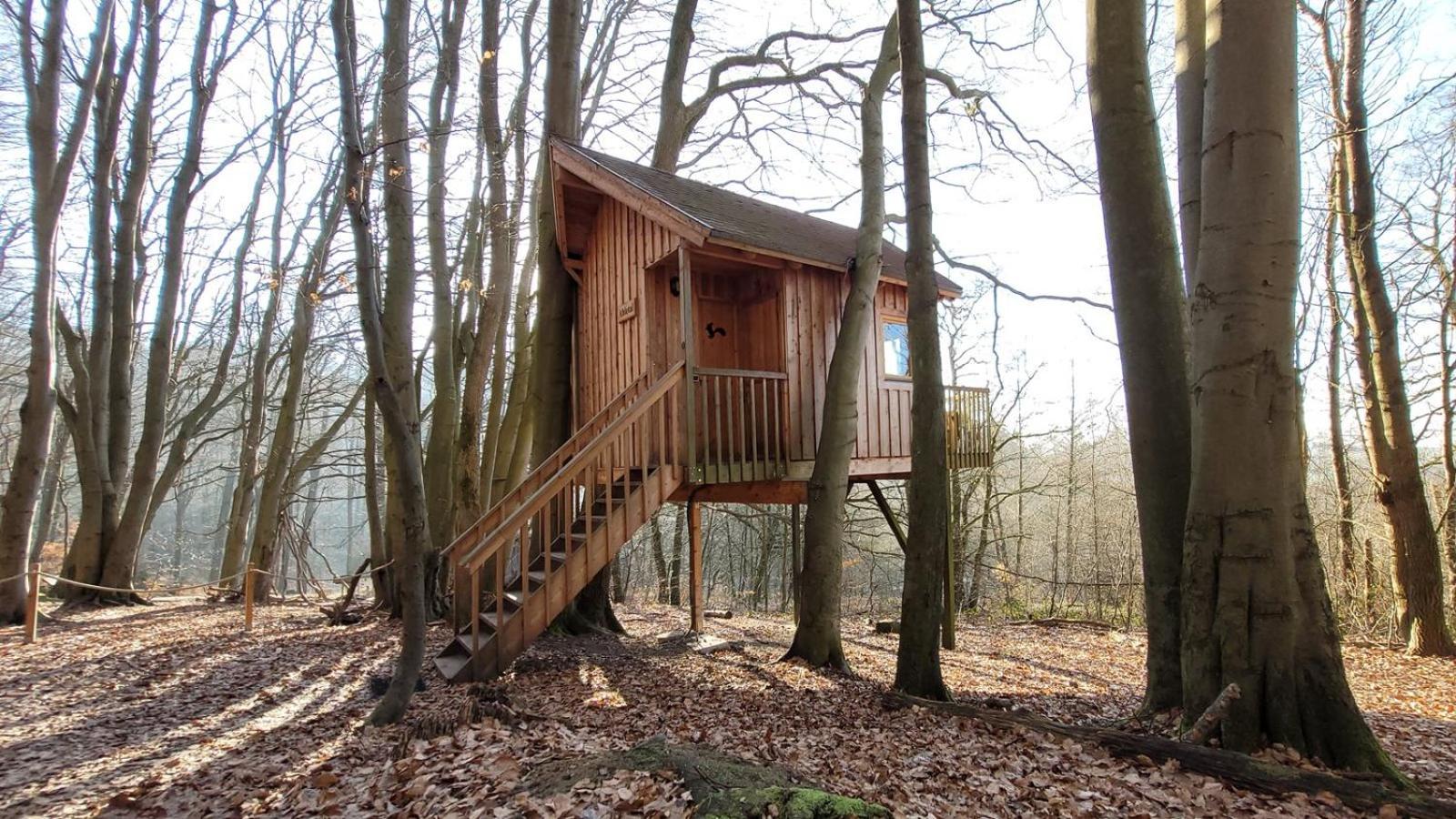 Baumhaushotel Solling Uslar Exterior foto