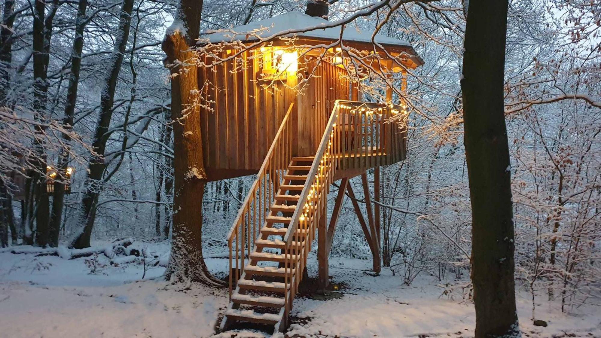 Baumhaushotel Solling Uslar Exterior foto