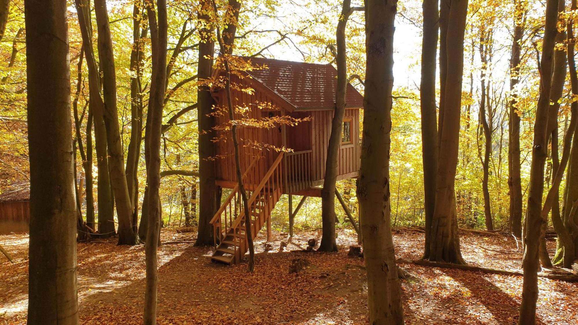 Baumhaushotel Solling Uslar Exterior foto